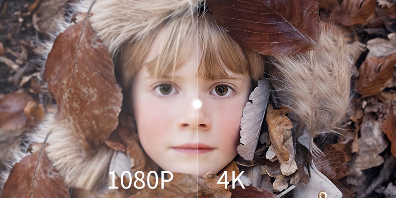 圖片12.png 圖片12.png